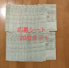 週刊少年ジャンプ 2026年4・5号　ONE PIECE　応募シート20枚セット