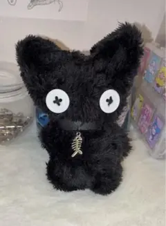 ★コタイサネコ★クロ