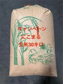 令和7年大分産ヒノヒカリ玄米未検査30キロ ご好評により通常価格になり 