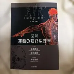 Item thumbnail for item 3aef7b29-f59e-42f4-b73a-9f217478fb19