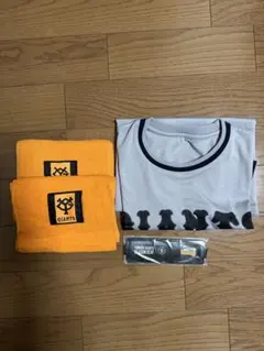 Giants 応援グッズ　Tシャツ　タオル　ペンケース