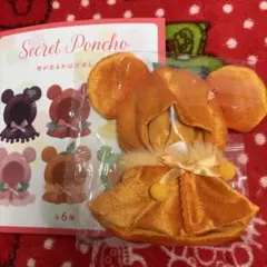 ディズニーストア オレンジ シークレットポンチョ GLOSSY FRUITS