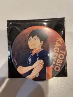 ハイキュー 影山飛雄