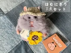 はむにぎり かぶりもの ひまわり ひまわりの種 2点セット - メルカリ