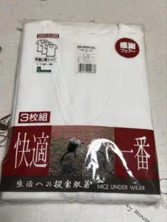 Item thumbnail for item 335f6c83-072a-448e-b3da-7c5438695216