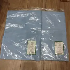 Item thumbnail for item 68fcabd0-39ee-47f7-bad3-0c7ff4e8e166