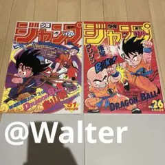 ドラゴンボール ポスター 40周年 2枚セット