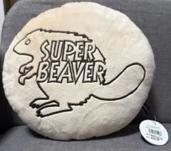 2026年最新】SUPERBEAVERブランケットの人気アイテム - メルカリ