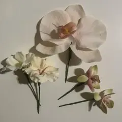 Item thumbnail for item fb39d3de-3eb8-41ea-a5cd-31ebf1b84df3