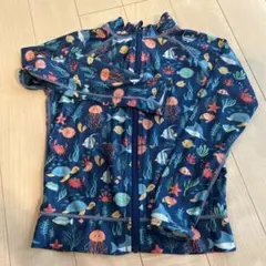 Item thumbnail for item 670a278c-8748-4774-811a-bcb31438c835