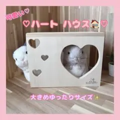 希少品】美品 ねこ かわいい 猫 爪とぎ 木製 ケース ゴロにゃん - メルカリ
