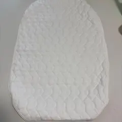 Item thumbnail for item 029e0024-c7b4-49be-8b86-3bdc39661266