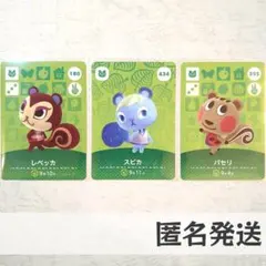 amiiboカード【スピカ　パセリ　レベッカ】あつまれどうぶつの森　あつ森　リス