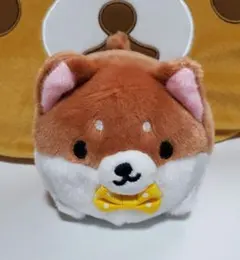 ふんわり まるしばさん ②