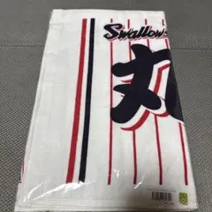 Item thumbnail for item 774f594e-3157-4147-a9c8-7158ad8848bd