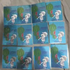 ナツコミ ワンピース カードゲーム 尾田栄一郎 イラストカード 10枚