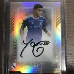 Item thumbnail for item 86a16294-aa47-40b7-9e9d-fbb3f240d863