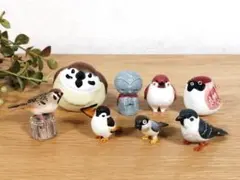 スズメ 8羽 まとめ売り