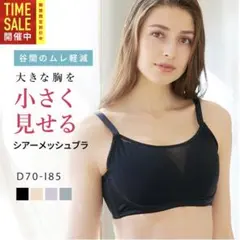 胸を小さく見せる　シアーメッシュブラジャーのサムネイル
