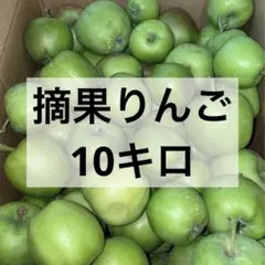 摘果りんご 10kgのサムネイル