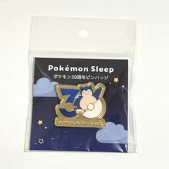 ポケモン ポケパーク ピンズカビゴン - メルカリ