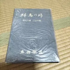 希少！国鉄昭和時代、ホーム注意案内表示『白線の内側でお待ちください』プレート板 希少！国鉄昭和時代、ホーム注意案内表示『白線の内側でお待ちください