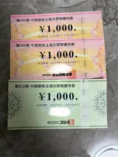 ビックカメラ コジマ 株主優待券 3000円分