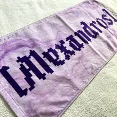 【美品】[Alexandros] 2025夏フェス限定グッズ　ロゴタオル