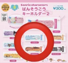 サンリオ　ばんそうこうキーホルダー2 2個セット シナモン KIRIMIちゃん