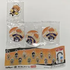 日向翔陽 びっくらポン　缶バッジ＆めじるしチャーム