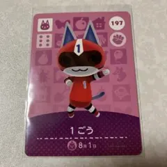 2025年最新】Nintendo Switch あつまれ どうぶつの森セットの人気