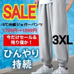 3XL　ジョガーパンツ　グレー　ひんやり　　海外旅行　沖縄　ー9℃