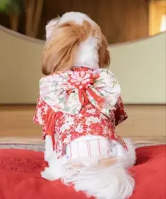 【犬用】【前撮り】【結婚式】着物 （赤）小型犬 結婚式 帯付きのサムネイル