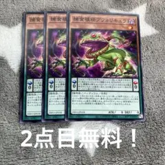 遊戯王　捕食植物ブフォリキュラ3枚セット 2点目無料 1507