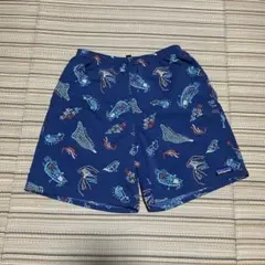 パタゴニア　バギーズロング　CTIB Sサイズ