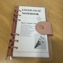 Item thumbnail for item 581274c0-f94d-47aa-8c56-24c4e6099650