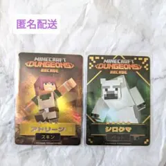 マイクラダンジョンズ　シロクマ　アドリーン アーケードカード