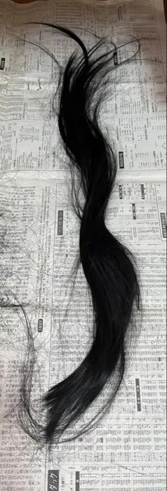 Item thumbnail for item 324e3813-7757-4d02-aaeb-25a1c4f38281