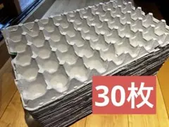 卵　パック トレー 30枚 緩衝材 防音 昆虫 飼育