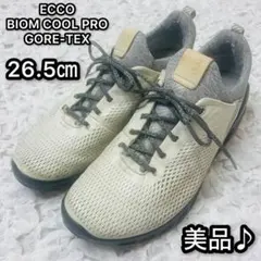 極美品 エコー ECCO バイオム 2.2 スニーカー 白 24 ゴアテックス