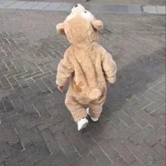 ダッフィ　着ぐるみ　なりきり　90 ロンパース