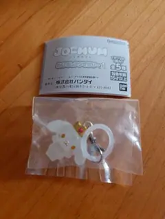 JOCHUM RURU めじるしアクセサリー