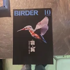 2026年最新】birder 2024の人気アイテム - メルカリ