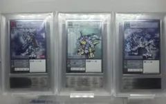 ARS10】 アグモン＆グレイモン＆メタルグレイモン 旧デジモンカード