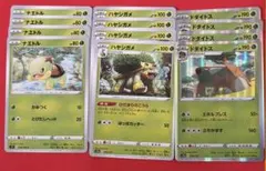 ポケモンカード ナエトル ハヤシガメ ドダイトス