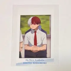 僕のヒーローアカデミア　ヒーローズナップ　フォトカード　轟焦凍