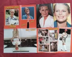 シェリルラッド 1980年 サントリー ブランデー CM プロモポスター 未