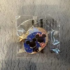 ディズニー アブーズバザール ミッキー＆ミニー ピンバッジ