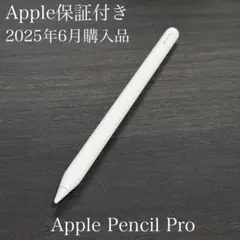 美品　Apple保証付き　2025年6月購入品　Apple Pencil Pro