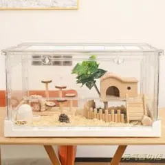 Item thumbnail for item ba52743d-16c1-428d-bea7-e65631262140